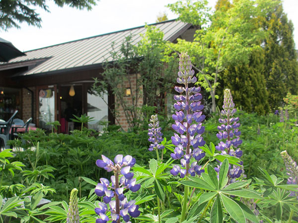 八ヶ岳 清里高原のペット 犬 と泊まって楽しむ情報サイト 清里ワンネット